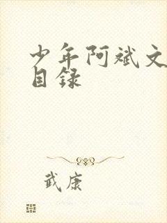 少年阿斌文说读目录