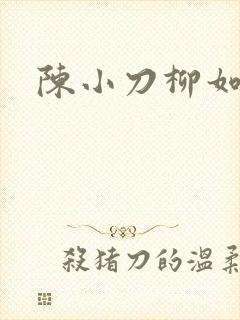 陈小刀柳如意