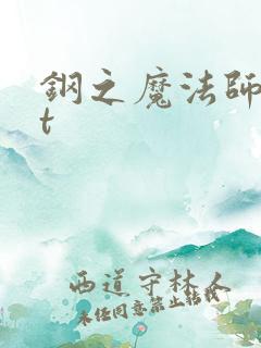 钢之魔法师txt