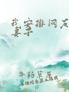 我安排网友开发妻子