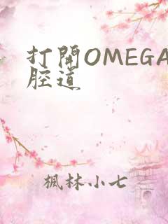 打开OMEGA腔道