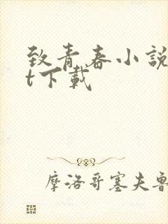 致青春小说txt下载