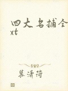 四大名捕全集txt