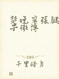 楚晚宁张腿放棋子微博