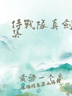 侍战队真剑者全集