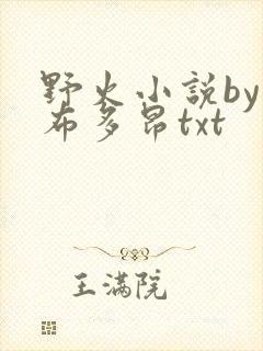 野火小说by夏布多昂txt