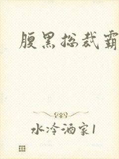 腹黑总裁霸道妻