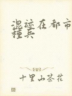 混迹在都市的特种兵