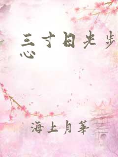 三寸日光步步惊心