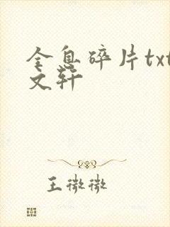 全息碎片txt文轩