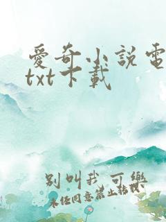爱奇小说电子书txt下载