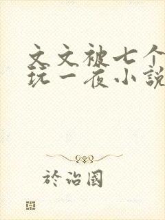 文文被七个男人玩一夜小说