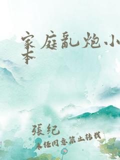 家庭乱炮小说全本