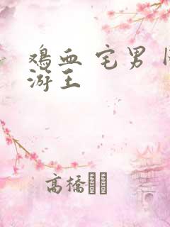 鸡血 宅男 网游王