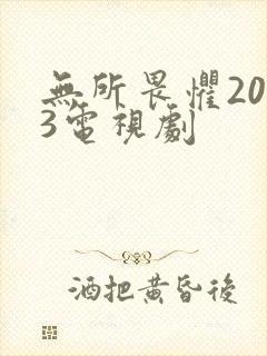 无所畏惧2023电视剧