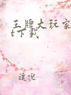 王牌大玩家txt下载