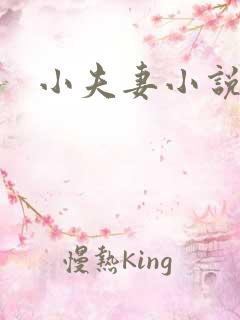 小夫妻小说