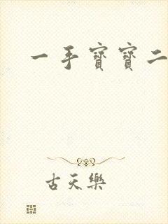 一手宝宝二手妻