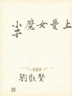 小魔女爱上皇太子