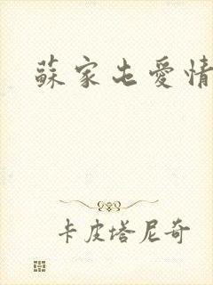 苏家屯爱情故事