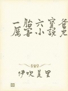 一胎六宝爸比好厉害小说免费阅读