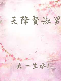 天降贤淑男小说