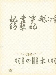 妃常穿越:冷王的孽妃