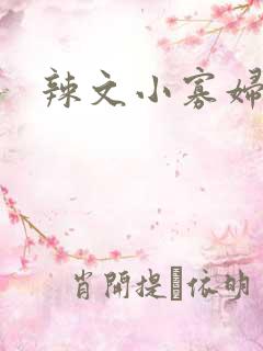 辣文小寡妇