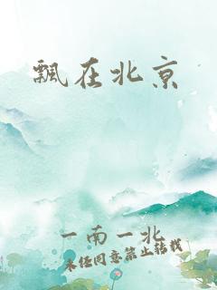 飘在北京