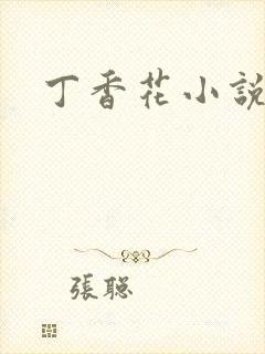 丁香花小说