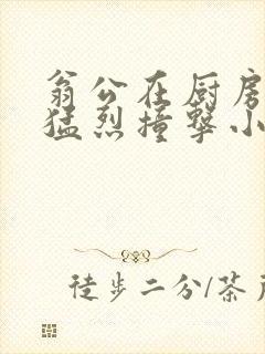 翁公在厨房和我猛烈撞击小说