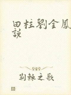 田柱刘金凤的小说