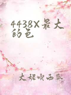4438X最大的色