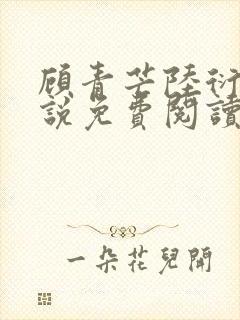 顾青芒陆衍牧小说免费阅读