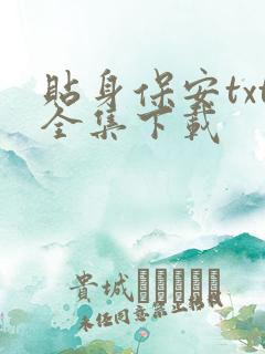 贴身保安txt全集下载