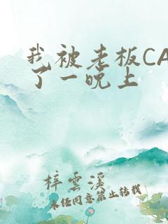 我被老板CAO了一晚上