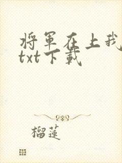 将军在上我在下txt下载