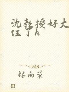 沈教授好大含不住了h