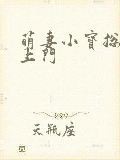 萌妻小宝总裁找上门