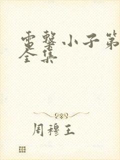 电击小子第二部全集