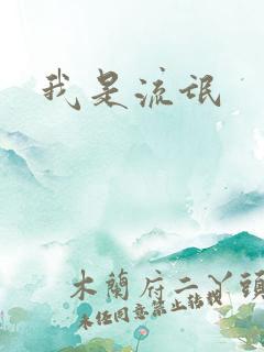 我是流氓