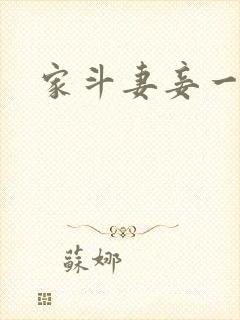 家斗妻妾一家欢