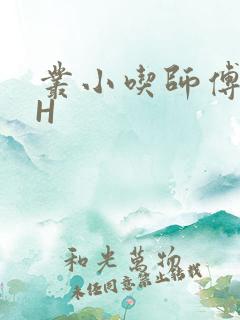 丛小吃师傅的HH