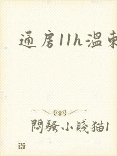 通房11h温东