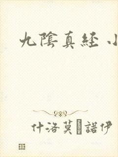 九阴真经 小说