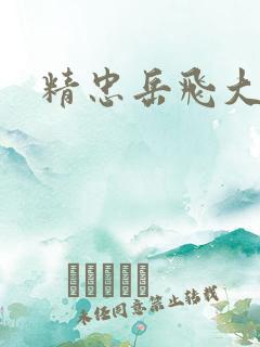 精忠岳飞大结局