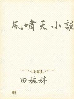 风啸天小说