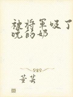 被将军吸了一整晚的奶