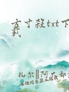 方寸杀txt下载
