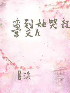 脔到她哭龙双根宫交h